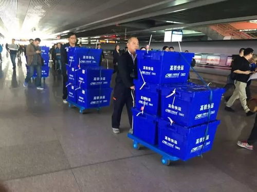 中國(guó)鐵路五年藍(lán)圖 2020年高鐵里程達(dá)3萬(wàn)公里，貨物運(yùn)輸代理體系同步優(yōu)化
